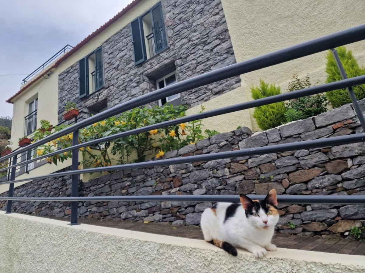 Green Valley House Madeira Рибейра-Брава Экстерьер фото